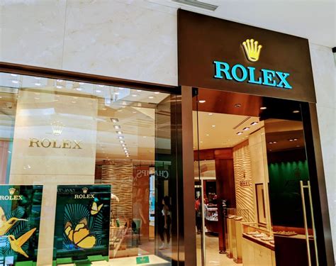 tampa rolex dealers|Rolex store Tampa fl.